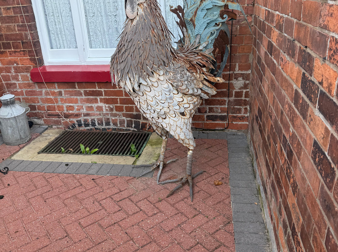 Creston Villa Guest House主图