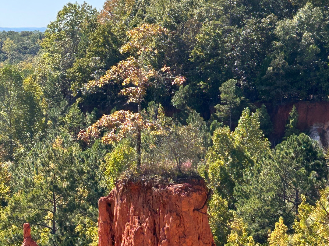Providence Canyon State Park-Lumpkin必去景点