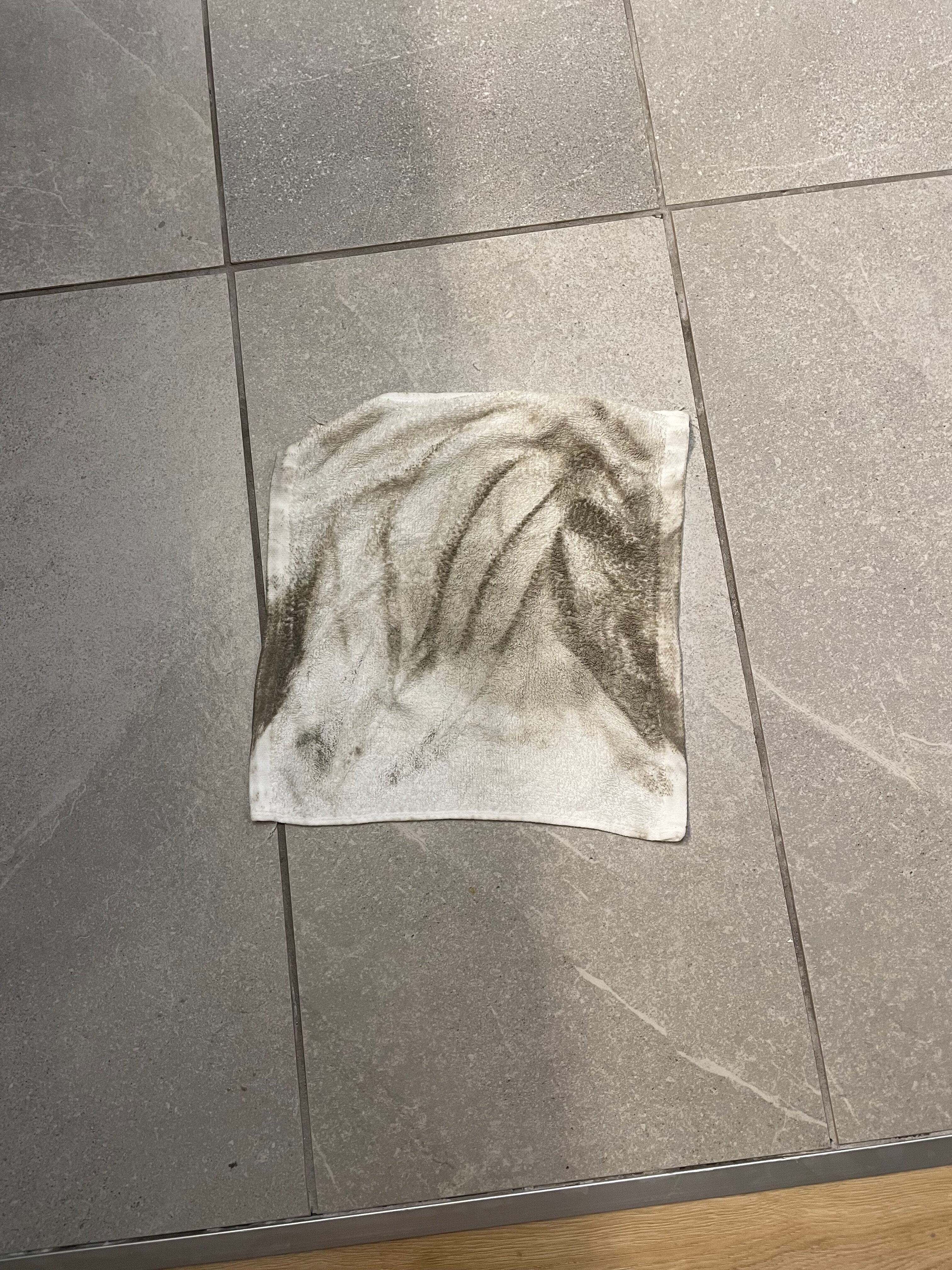 Hampton Inn Pell City-客卧