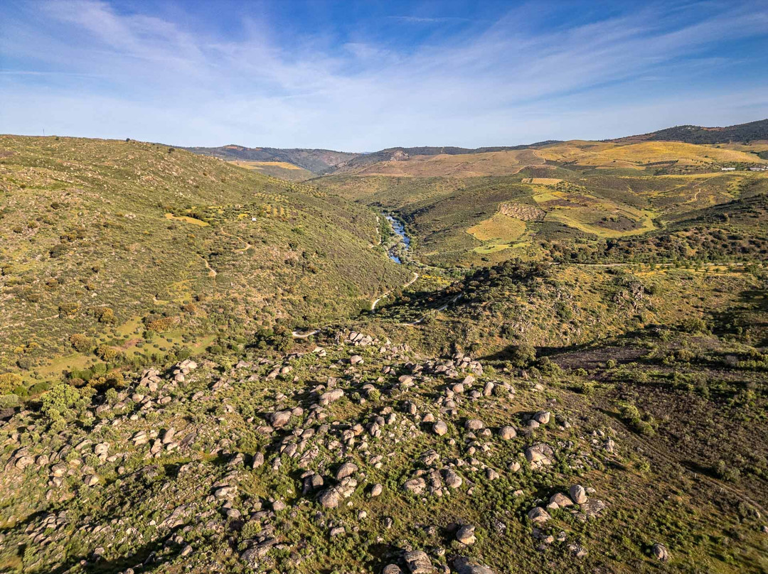 Wildlife Portugal-Guarda必去景点