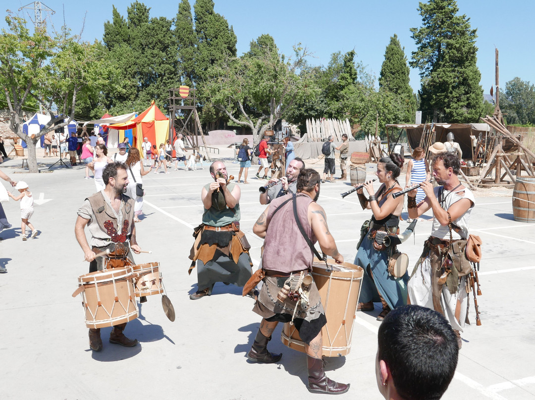 Festival Terra de Trobadors