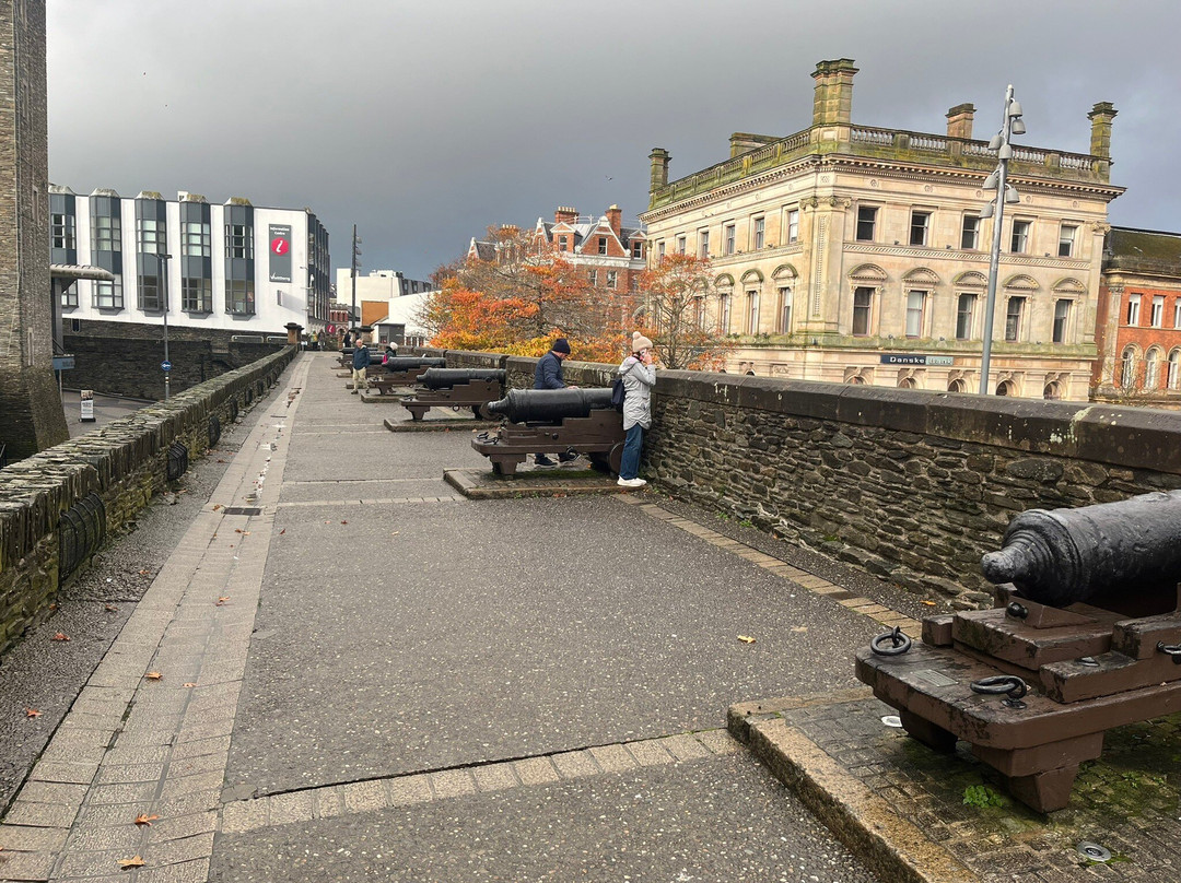 Maldron Hotel Derry主图