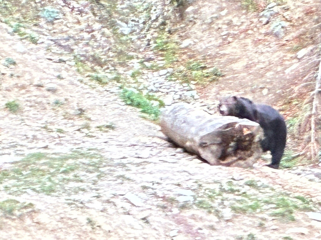 Absolute Carpathian-布拉索夫必去景点