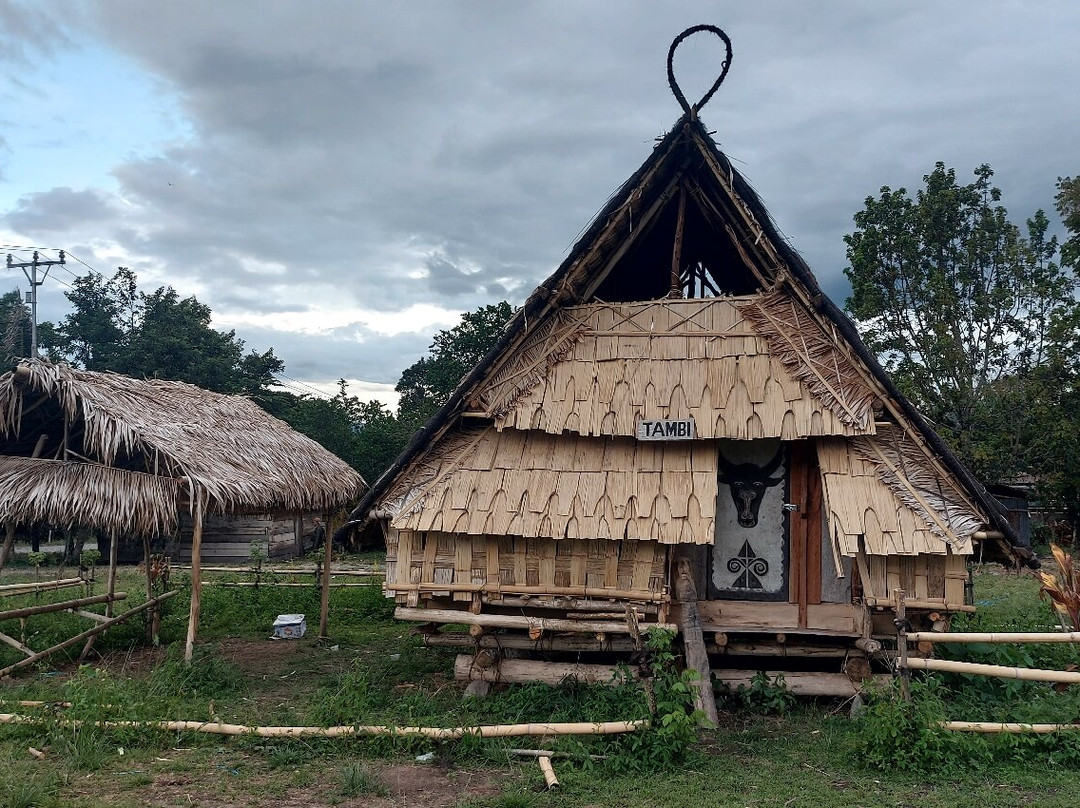 Tentena wildlife tour and Lorelindu national park-Tentena必去景点