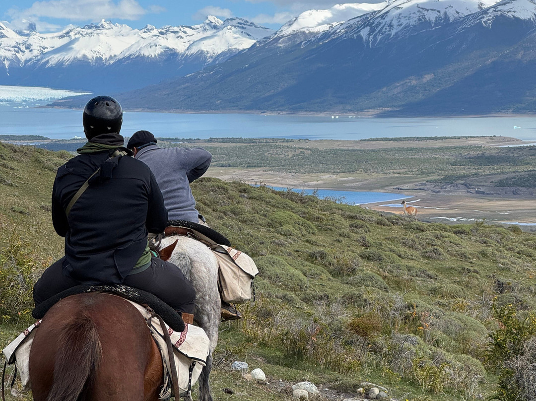 Cabalgata del Glaciar-埃尔卡拉法特必去景点