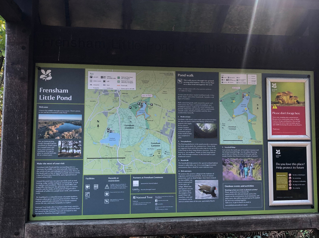 Frensham Little Pond-Frensham必去景点
