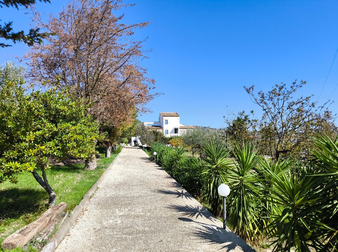 Terre di Zaccanello主图