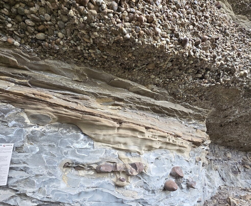 Tour Rupestre Patagonia-纳塔莱斯港必去景点