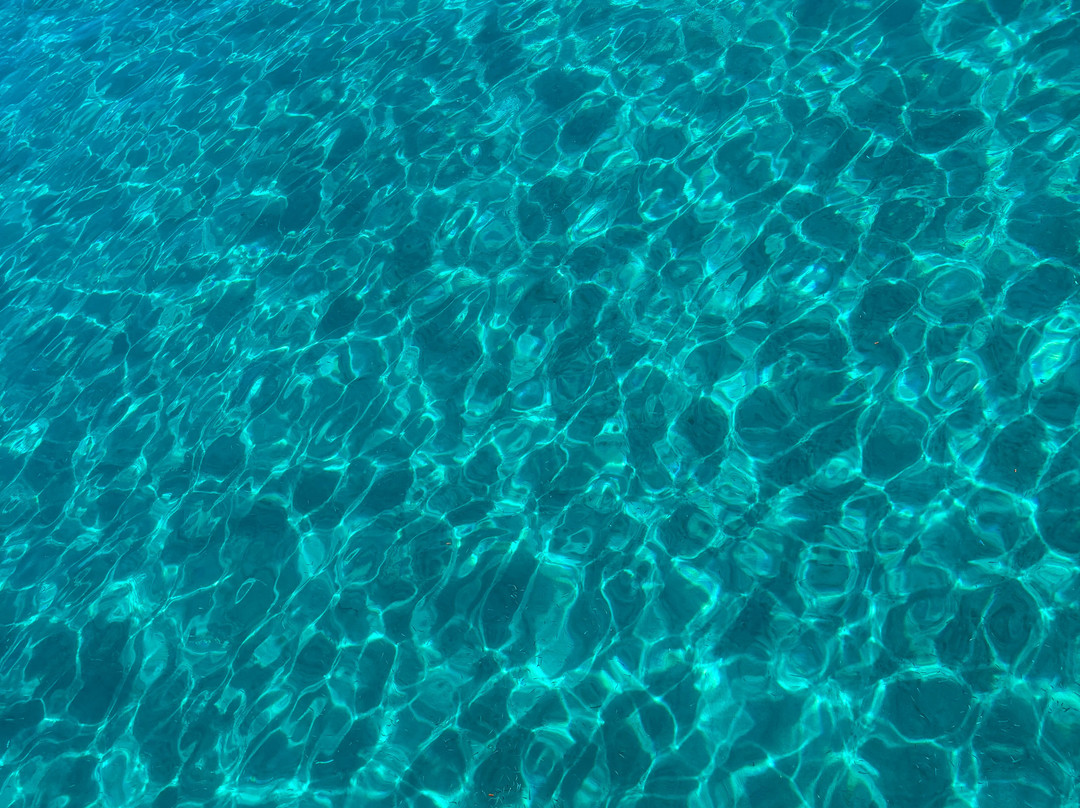 Chris Excursions-帕福斯必去景点