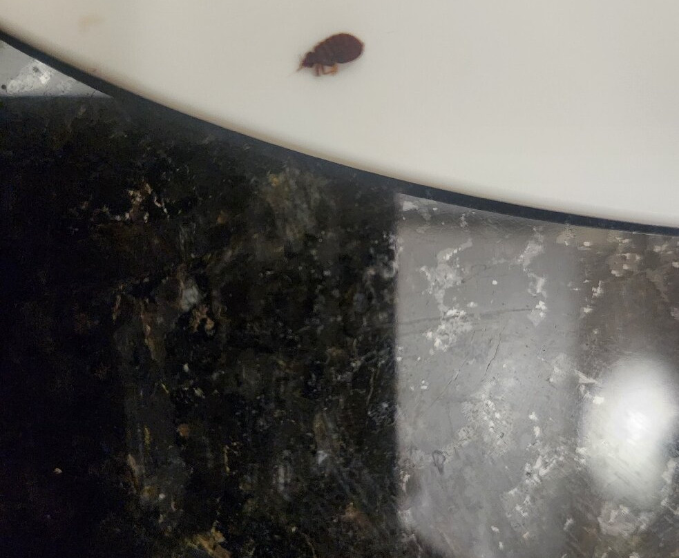 Ramada by Wyndham Weyburn主图