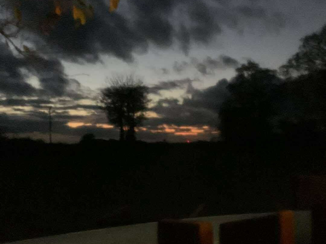 Somerleyton Meadows主图