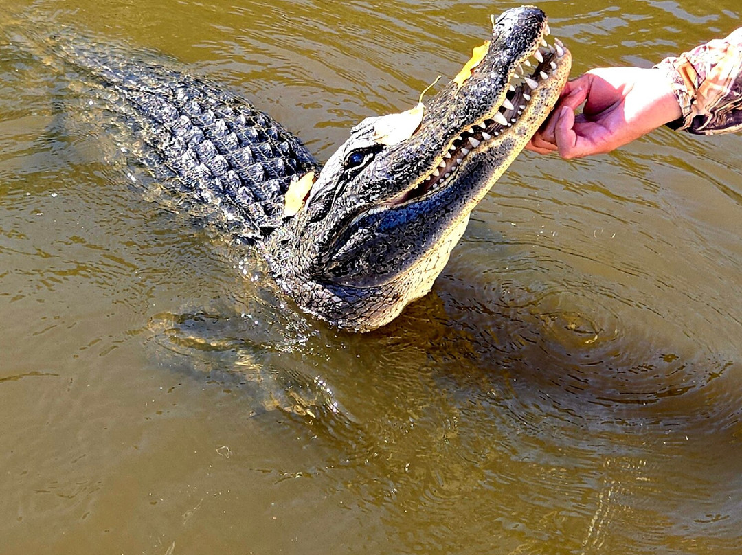 Louisiana Tour Company-Marrero必去景点