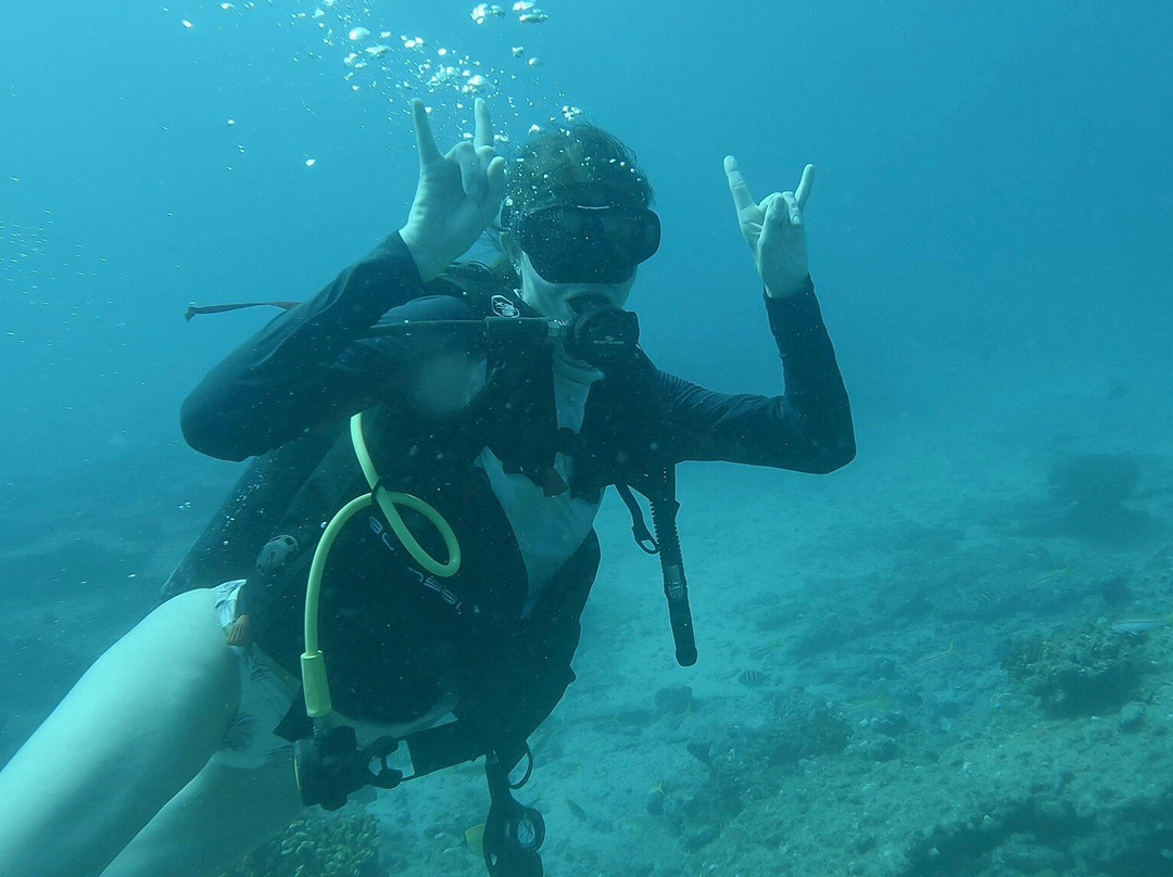 La ventana dive center-La Ventana必去景点