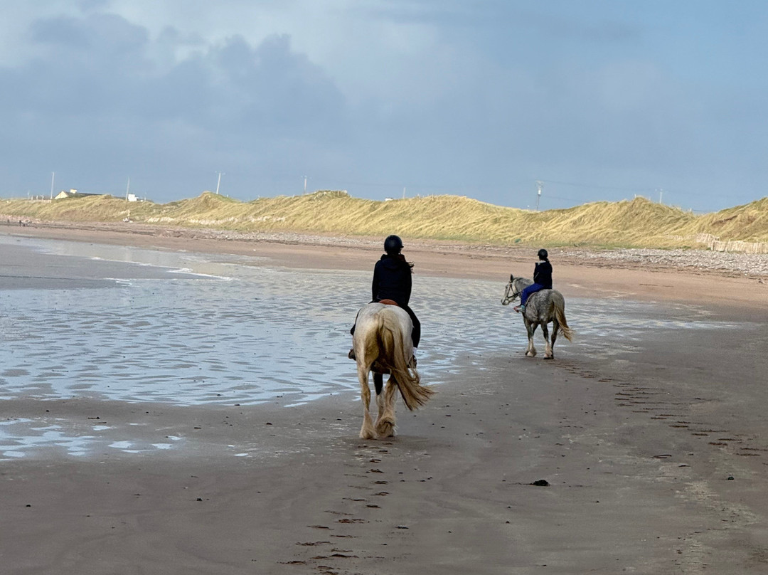 O'Connor Trekking-Castlegregory必去景点