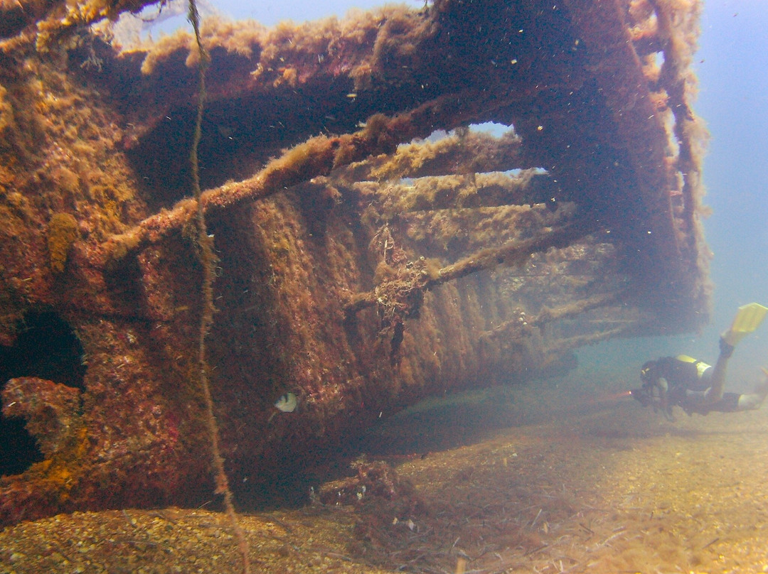 Paradise Diving Malta-史克华必去景点