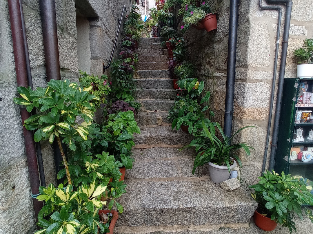 Porto de Combarro-Combarro必去景点