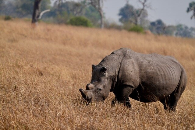 Africa Explore Safaris-开普敦必去景点