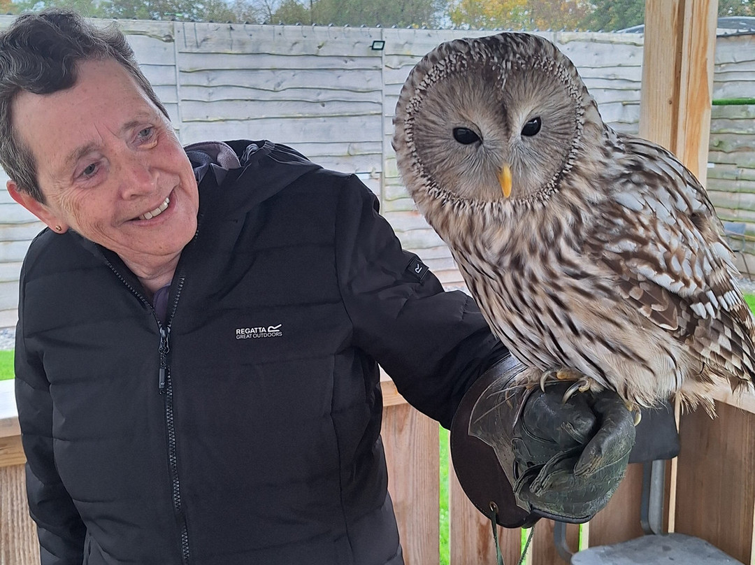 Pitcombe Rock Falconry-Bruton必去景点