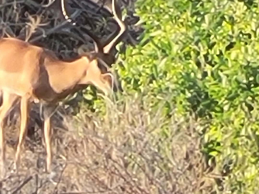 The Olmalaika Trust-Sekenani必去景点