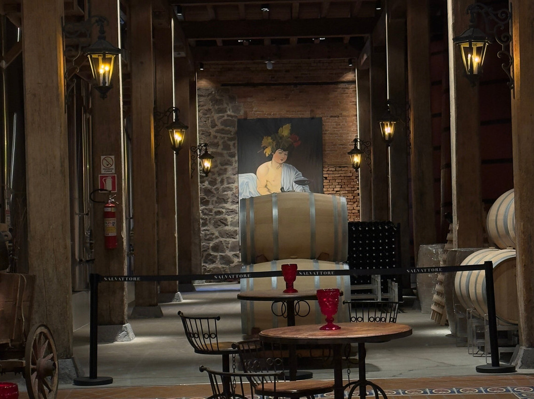 Vinícola Salvattore-Flores Da Cunha必去景点