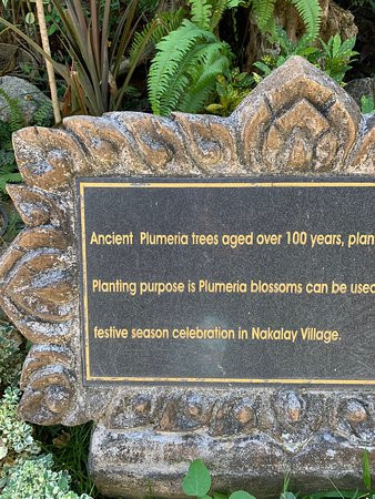 普吉岛塔夫海滩水疗度假村主图