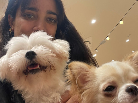 Dog Cafe Rio Shimokitazawa-世田谷区必去景点