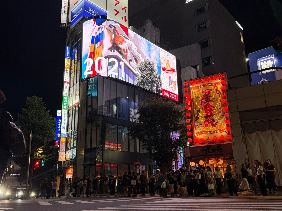 Giant 3d Cat Display Billboard-Shinjuku 3 Chome必去景点