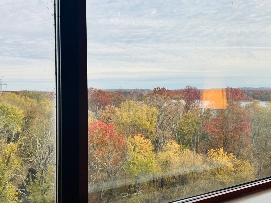 肖特希尔斯希尔顿酒店主图