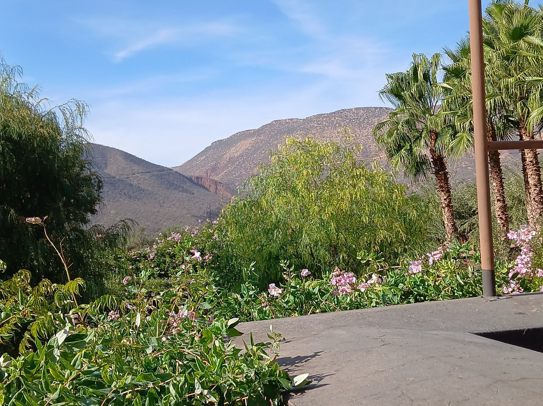 Domaine Malika主图