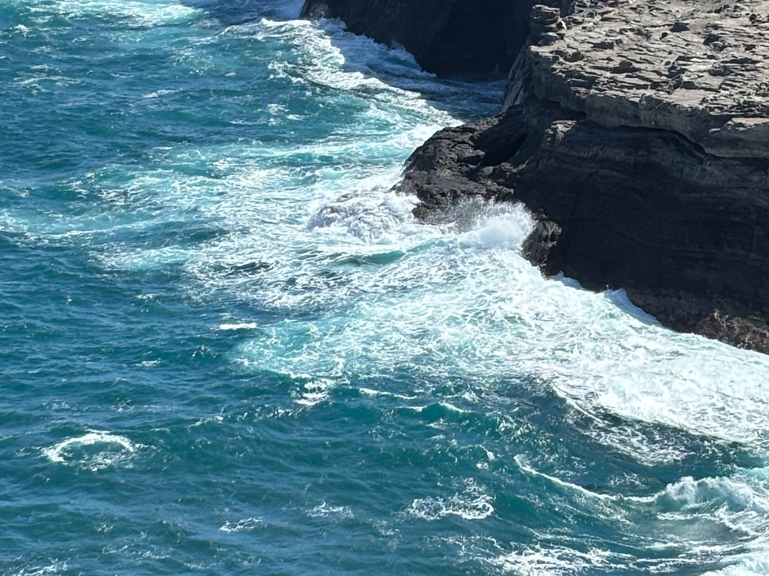 津劳也亚自然生物保护区-基拉韦厄必去景点