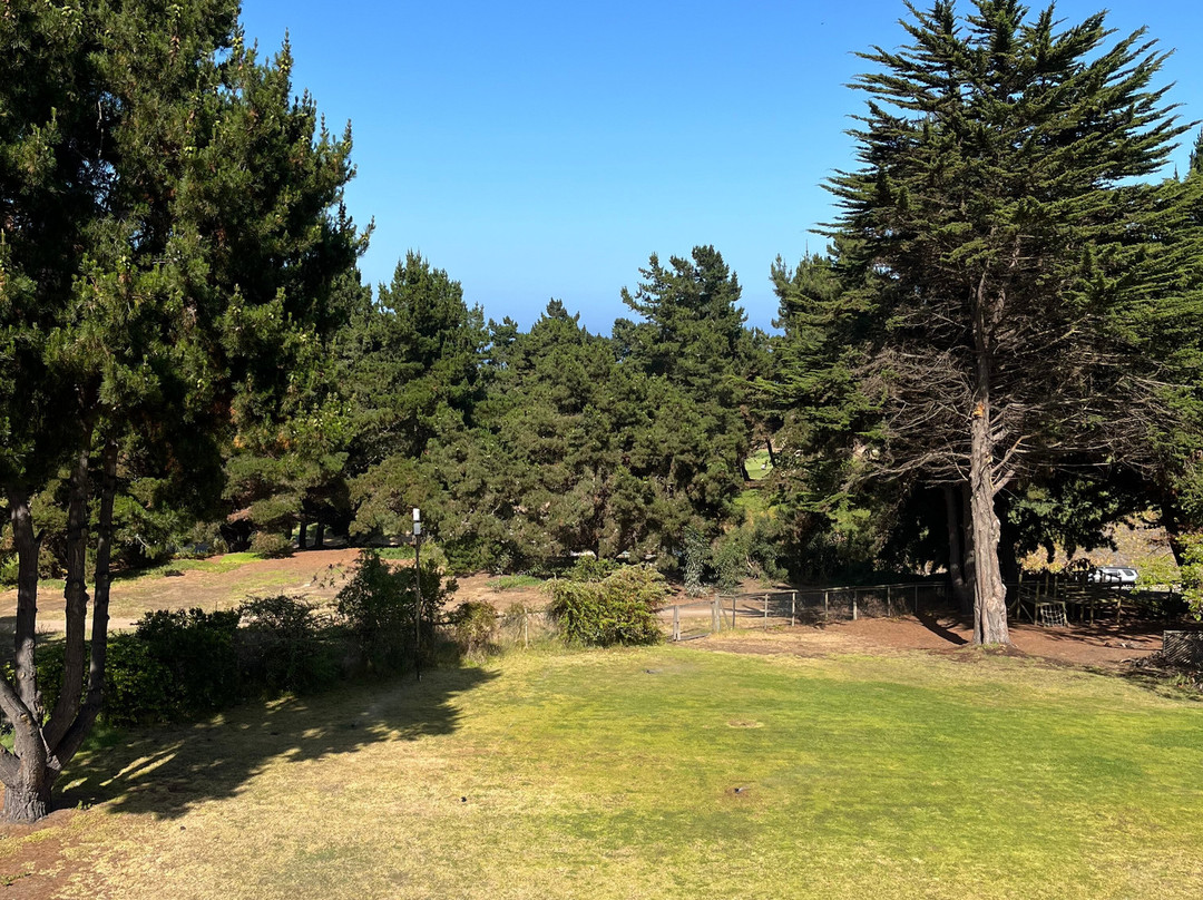 Hotel Marbella Resort主图