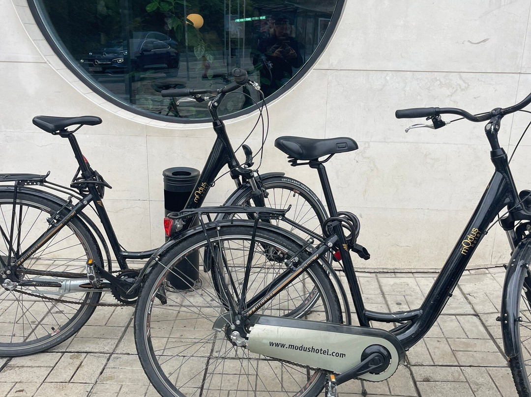 莫杜斯酒店主图