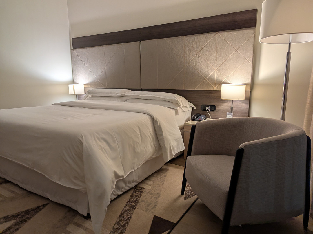 喜来登米兰马尔彭萨机场酒店及会议中心主图