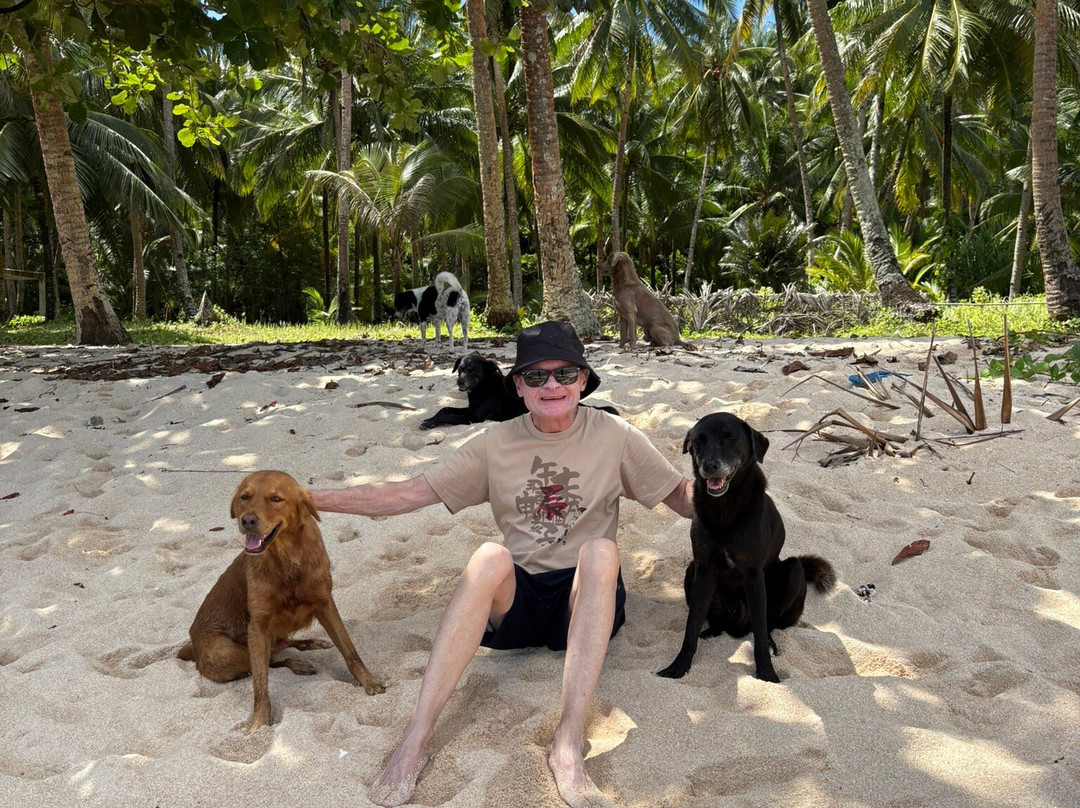 Cloud 9 Surfing Tower-锡亚高岛必去景点