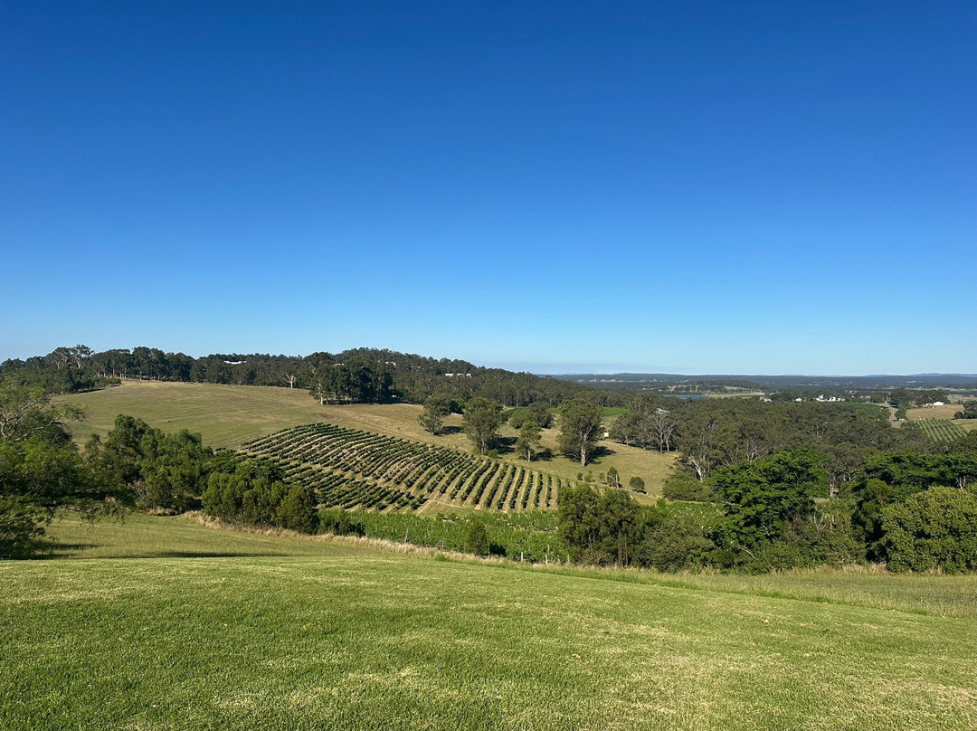 奥德丽维尔金森酒庄-波高尔宾必去景点