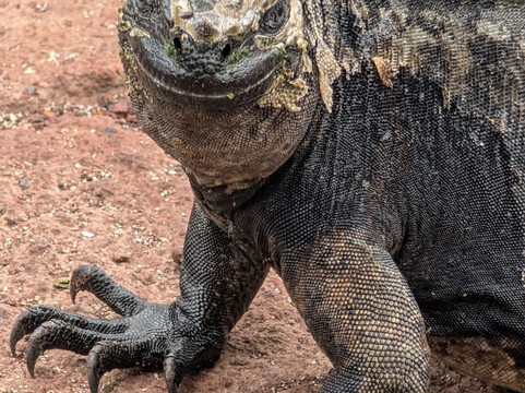 Aludi Travel-马丘比丘必去景点