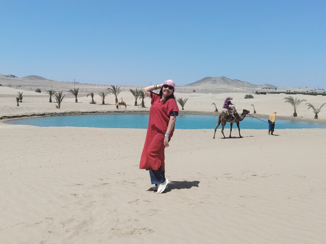 Dromedarius-伊卡必去景点