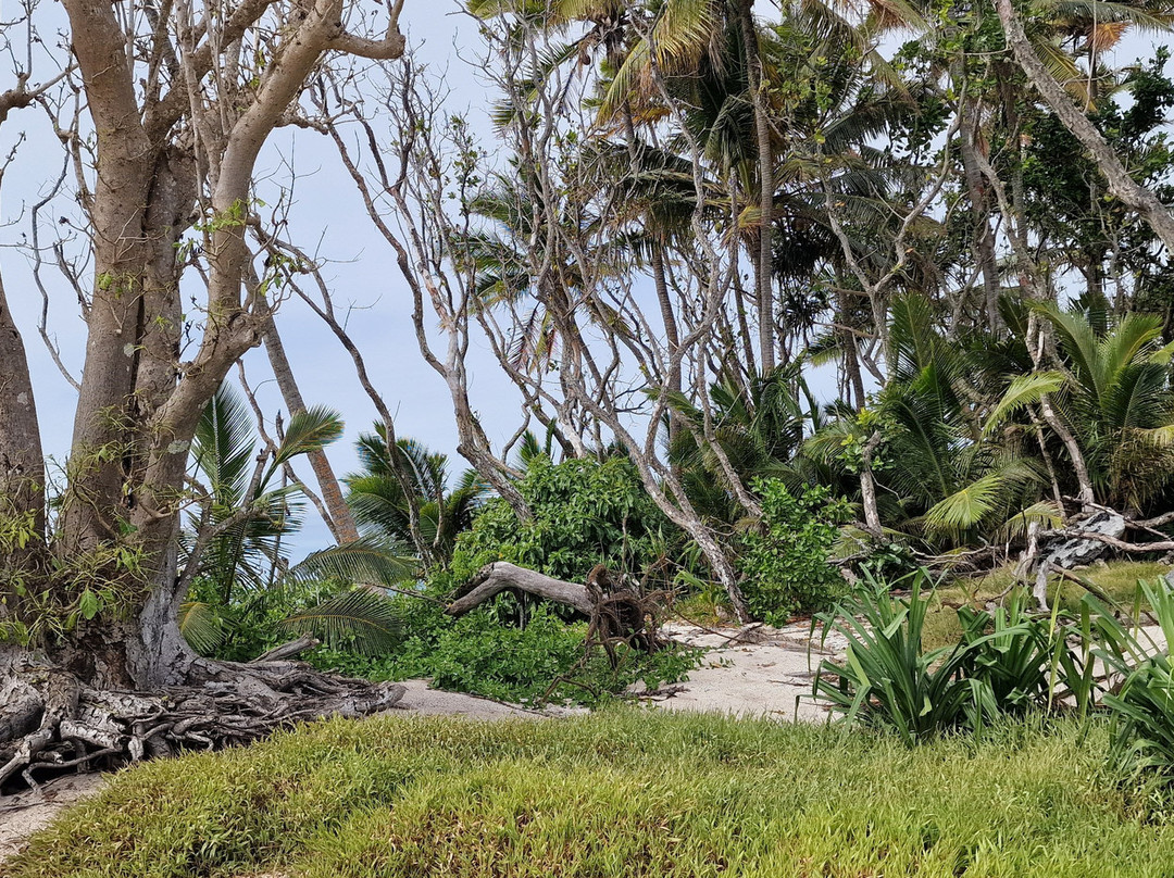 Deep Blue Diving-努库阿洛法必去景点
