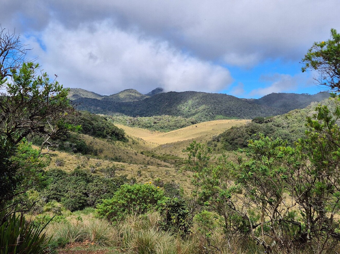 Paradise Island Safari-Gampola必去景点
