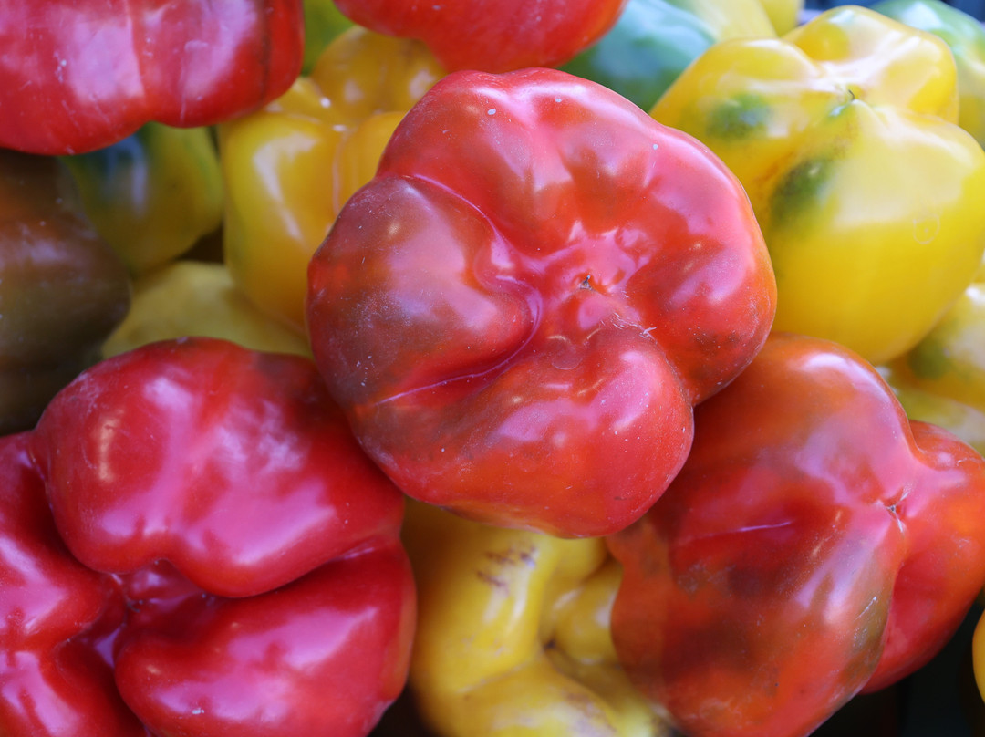 Sagra del Peperone-Carmagnola必去景点