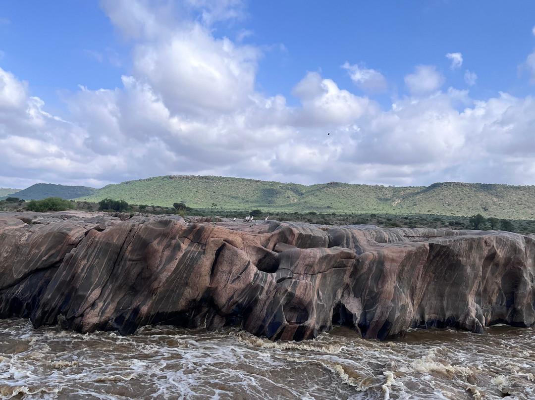 Garibaldi Safari Kenya-瓦塔木必去景点