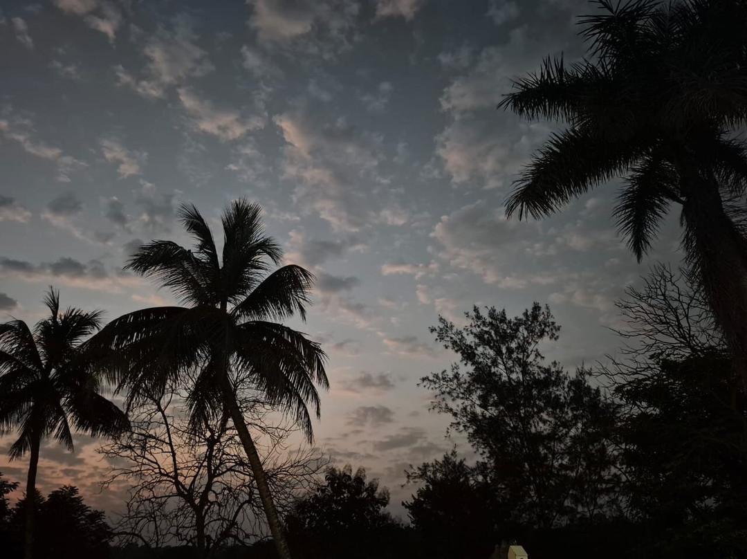 Gir Serai - IHCL SeleQtions主图