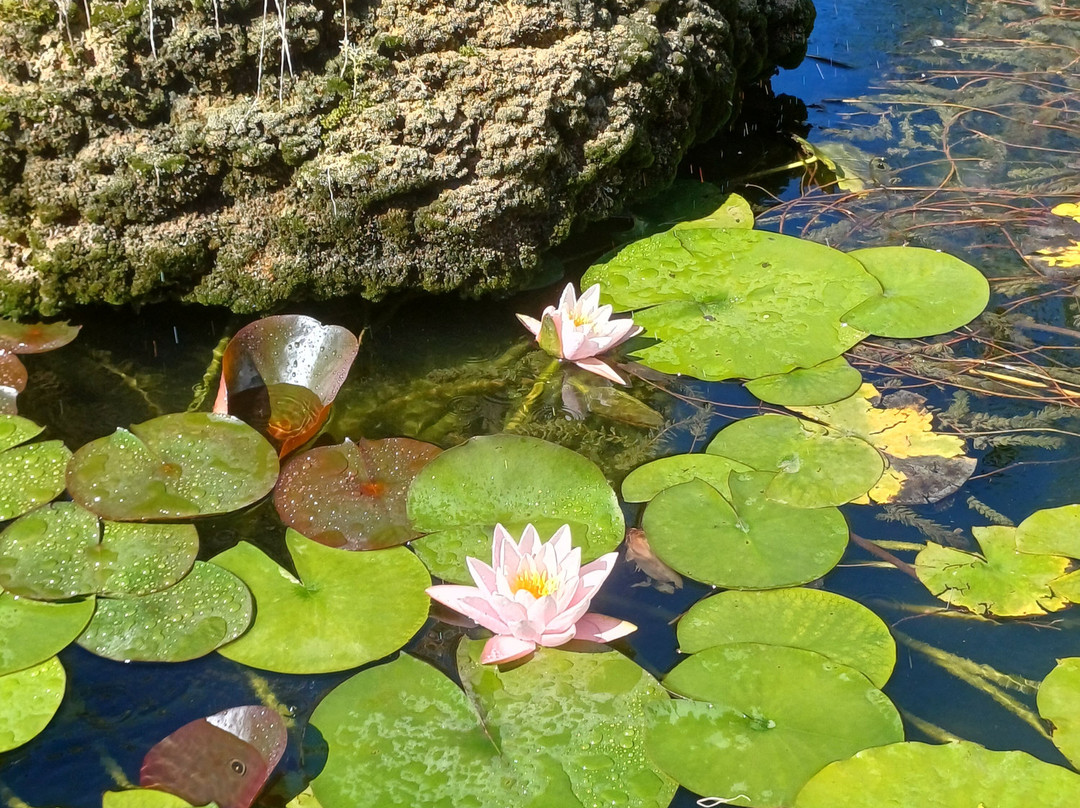 Palazzo Carpani Beauharnais-Pusiano必去景点