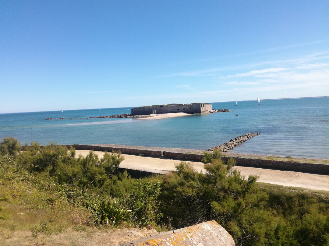Tatihou Island-Saint-Vaast-la-Hougue必去景点