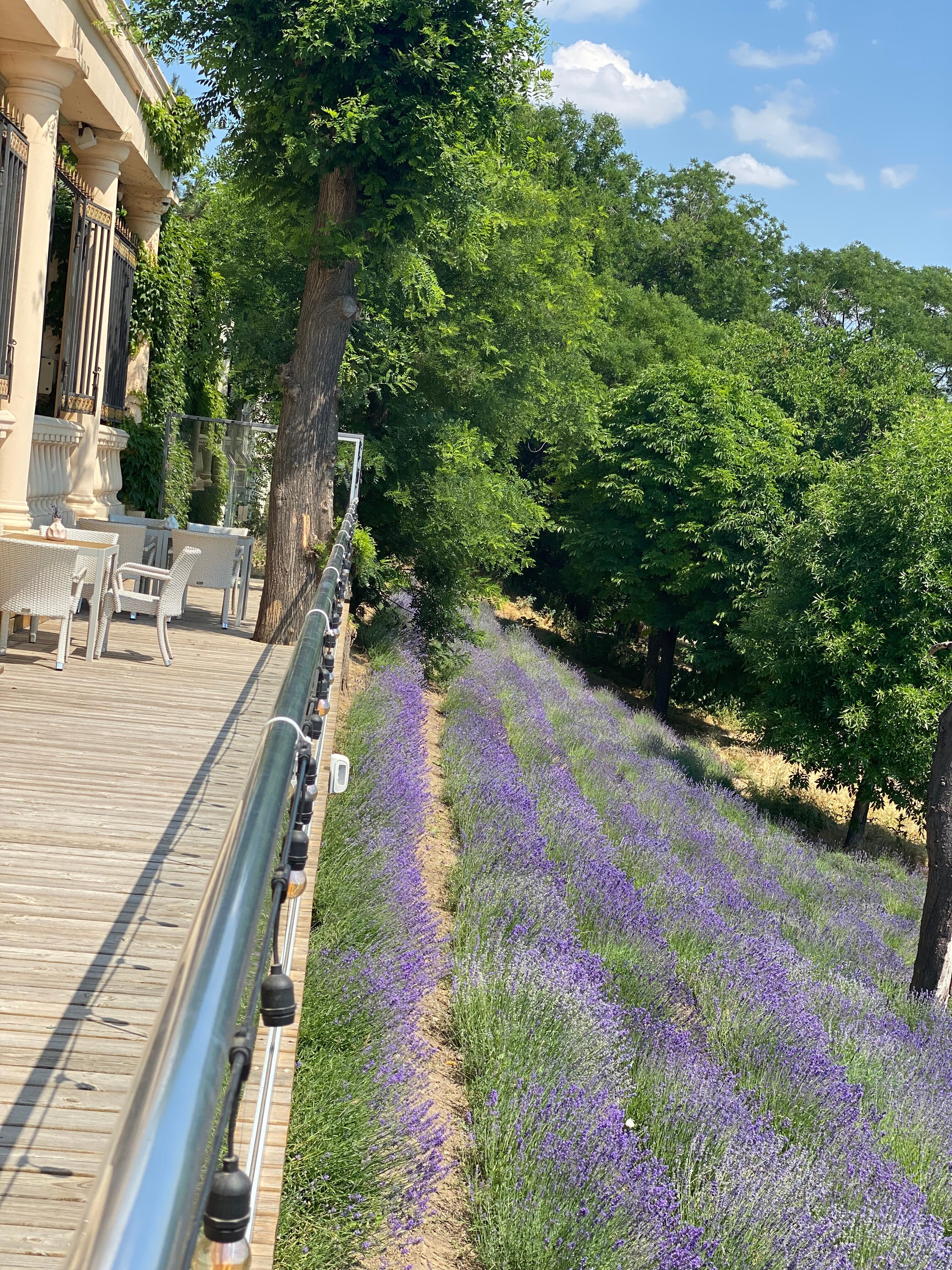 La Gioconda Boutique Hotel-浴室