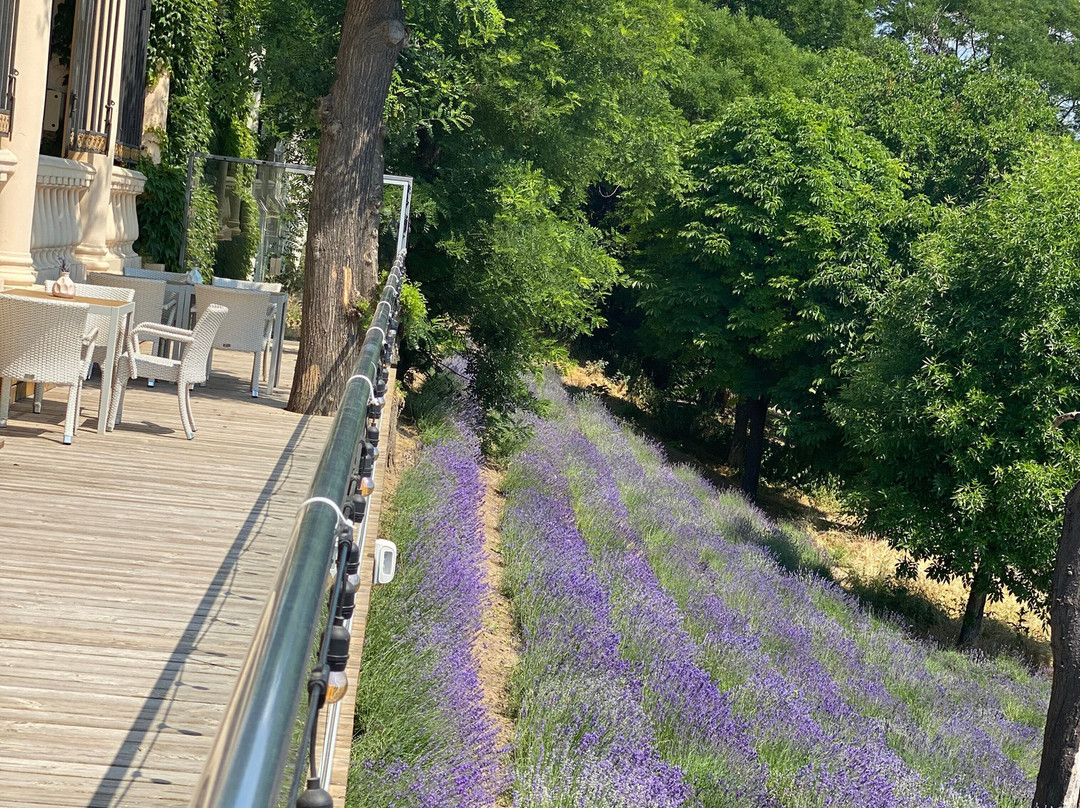 La Gioconda Boutique Hotel主图