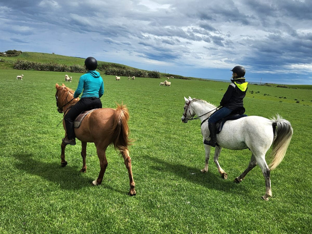 Orepuki Horse Treks-奥雷普基必去景点