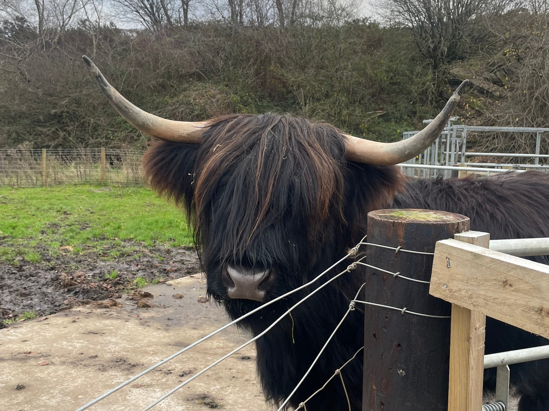 Five Sisters Zoo-West Calder必去景点