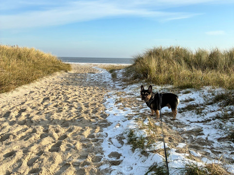 Hotel Altes Zollhaus主图