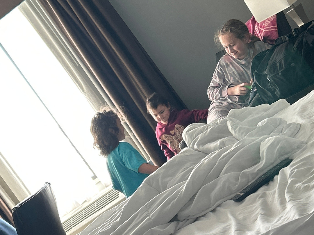 La Quinta Inn & Suites by Wyndham Sioux Falls主图